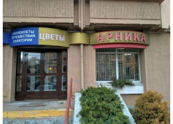 Арника