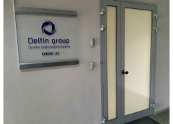 Delfin group