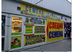 Семена