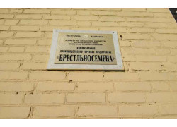 Брестльносемена